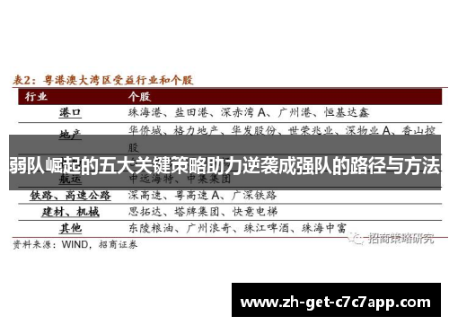 弱队崛起的五大关键策略助力逆袭成强队的路径与方法