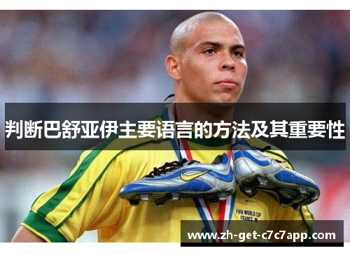 判断巴舒亚伊主要语言的方法及其重要性 判断巴舒亚伊主要语言的方法及其重要性