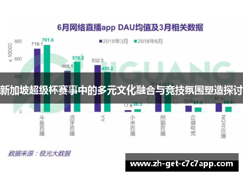 新加坡超级杯赛事中的多元文化融合与竞技氛围塑造探讨 新加坡超级杯赛事中的多元文化融合与竞技氛围塑造探讨