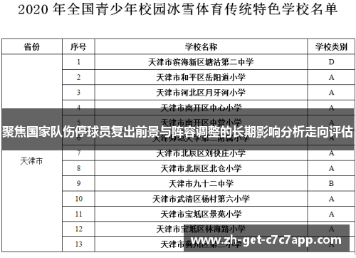聚焦国家队伤停球员复出前景与阵容调整的长期影响分析走向评估