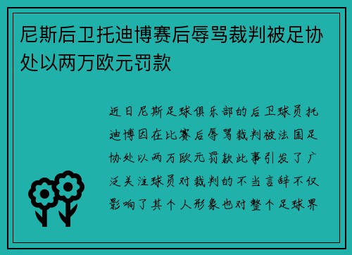 尼斯后卫托迪博赛后辱骂裁判被足协处以两万欧元罚款